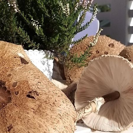 Przystan Na Zagorzu - Apartamenty Nad Jeziorem Drezdenko Kültér fotó